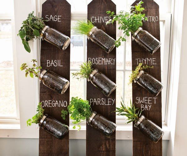 mason jar wall herb garden