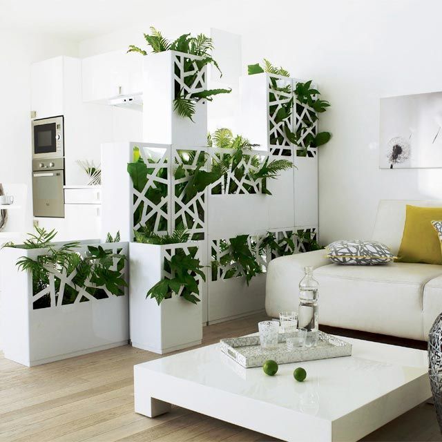 Garden room divider for small spaces and studio apartments 