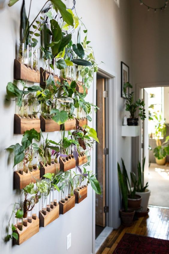 test tube wall garden