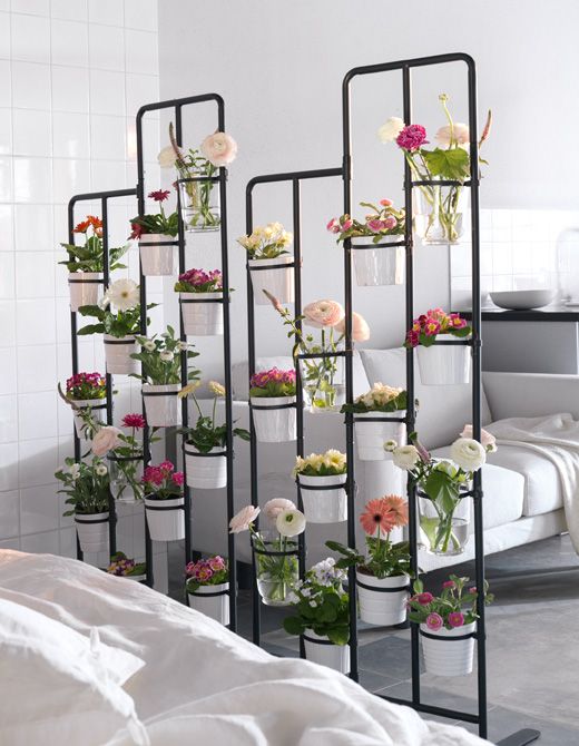 Indoor garden room divider for small studio apartment