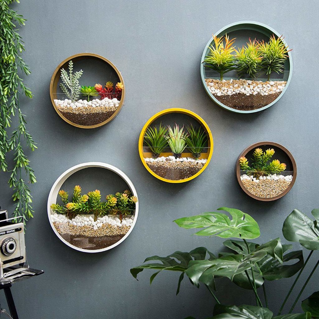 modern circle wall vase succulent planters Amazon