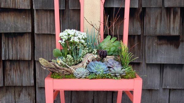 succulent chair planter