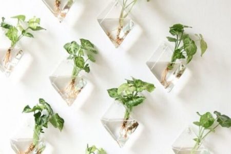 indoor garden ideas for small apartments