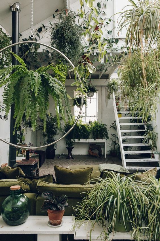 maximalist interior design in small spaces using plants