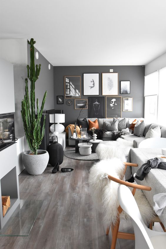 dark gray and white decor in small  living room dark gray accent wall