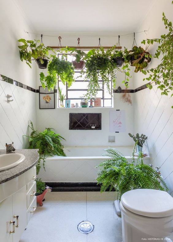 small white bathroom with plants