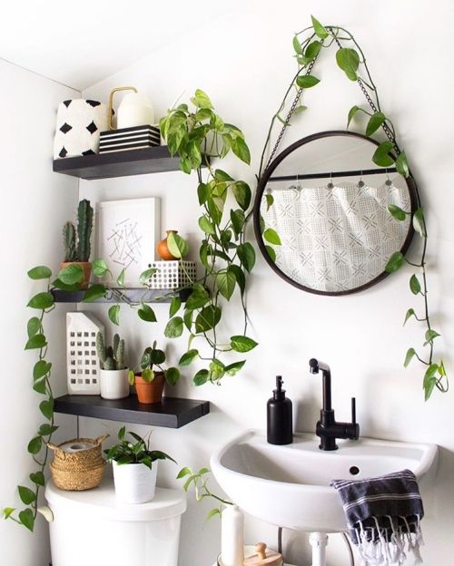 small white bathroom decorated with pothos plants