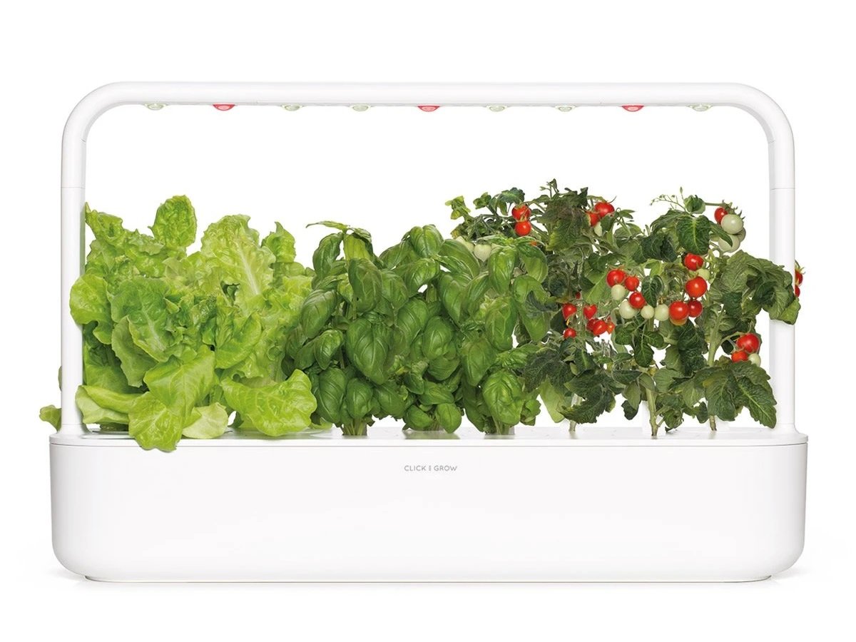 click and grow smart garden as a gift.
