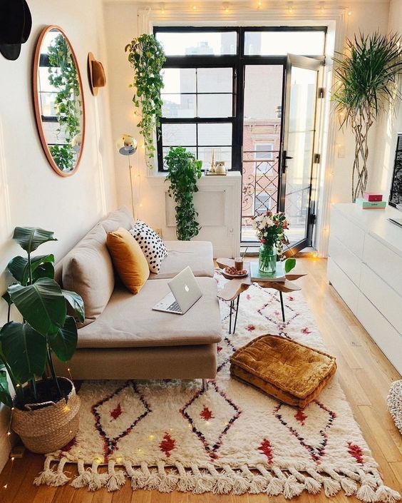 bright small apartment living room decorated with plants