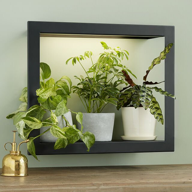 grow light wall shelf for indoor plants