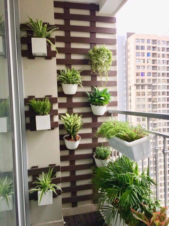 vertical plant trrellis in small balcony