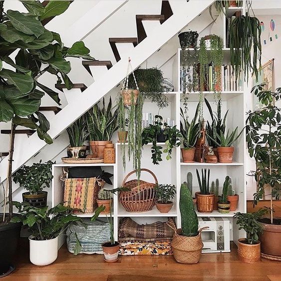 plant decor under the stairs